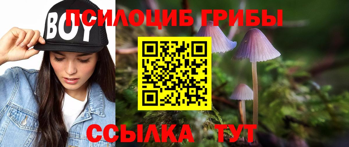 Псилоцибиновые грибы GOLDEN TEACHER  купить   Верхняя Пышма  Вход с VPN 
